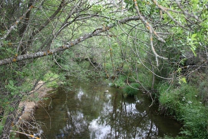 Albergue Nueva Tierra, Piñuecar