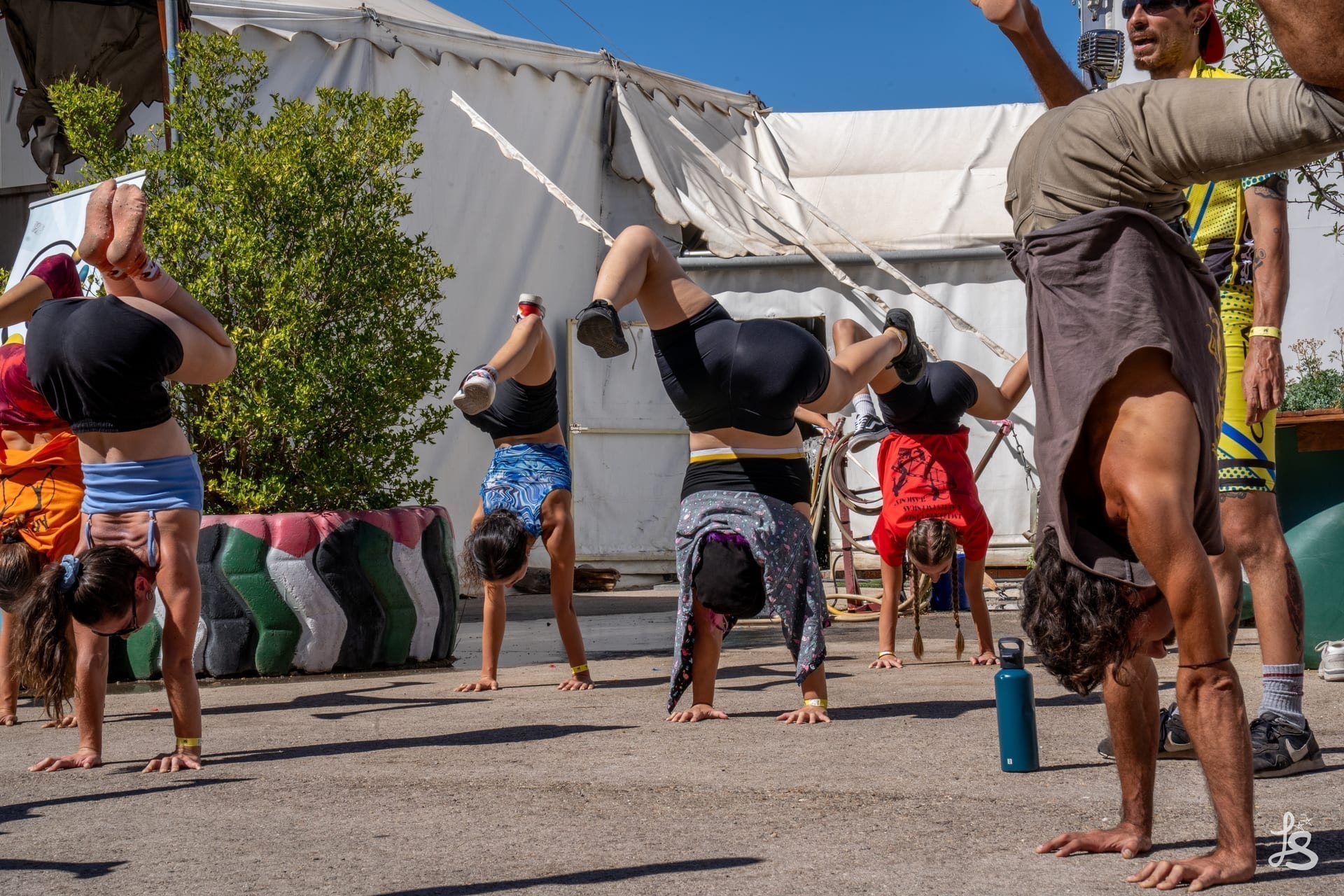 landing.mosaic.freeTraining